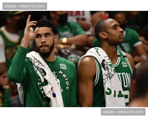 凯尔特人防守体系强调无限换防,霍福德经验保障沟通质量 凯尔特人防守体系强调无限换防,霍福德经验保障沟通质量